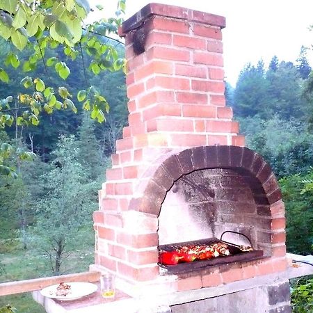 Vila Vanturis Hotel Sinaia Kültér fotó