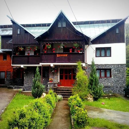 Vila Vanturis Hotel Sinaia Kültér fotó