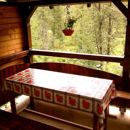Vila Vanturis Hotel Sinaia Kültér fotó