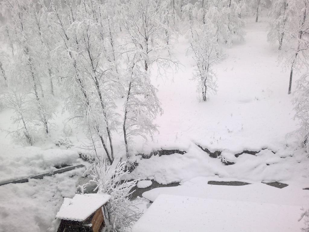 Vila Vanturis Hotel Sinaia Kültér fotó