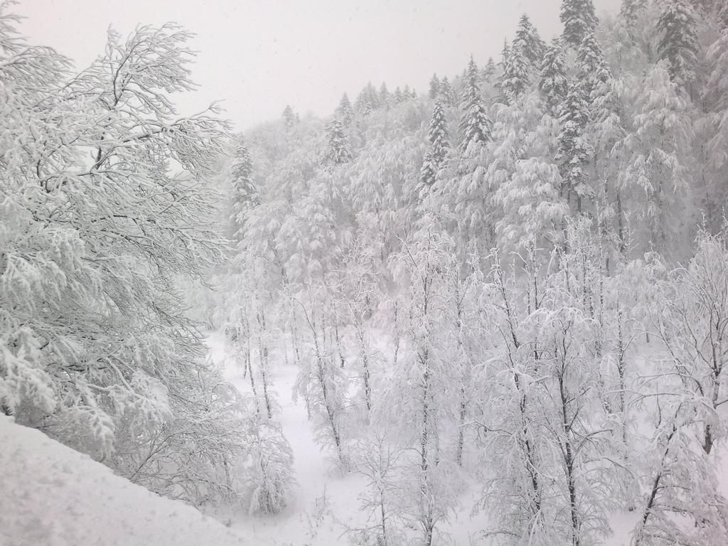 Vila Vanturis Hotel Sinaia Kültér fotó