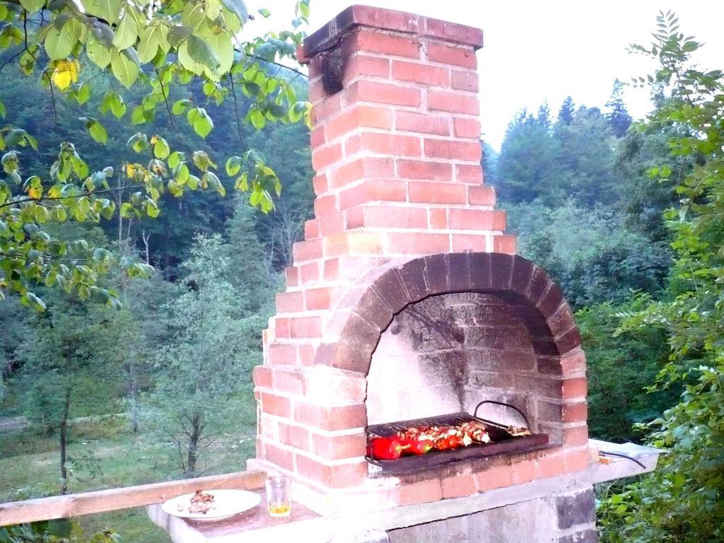 Vila Vanturis Hotel Sinaia Kültér fotó