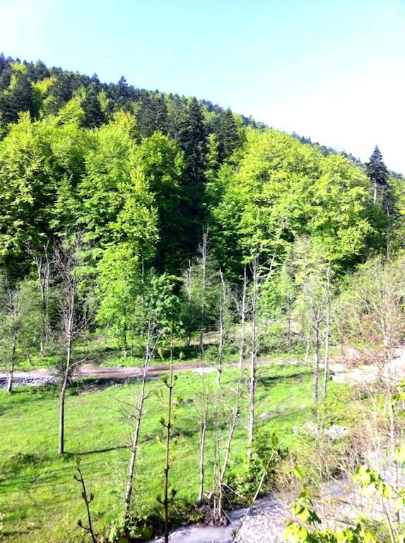 Vila Vanturis Hotel Sinaia Kültér fotó