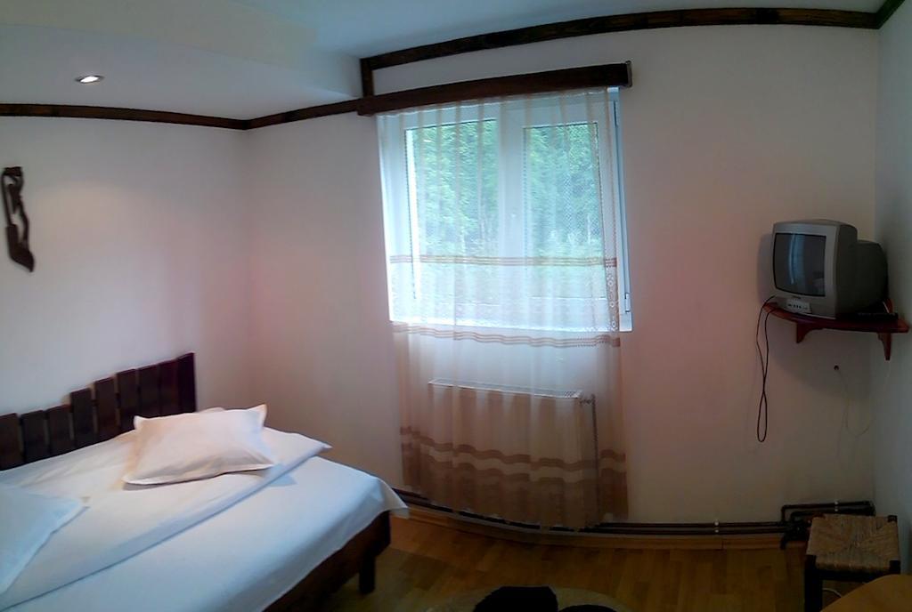 Vila Vanturis Hotel Sinaia Szoba fotó